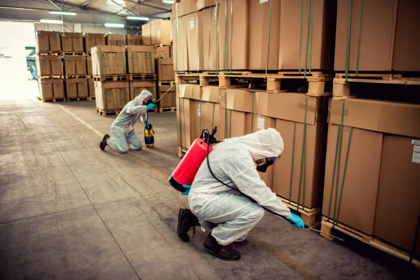 Best Flea Control Services  in Millersville, PA